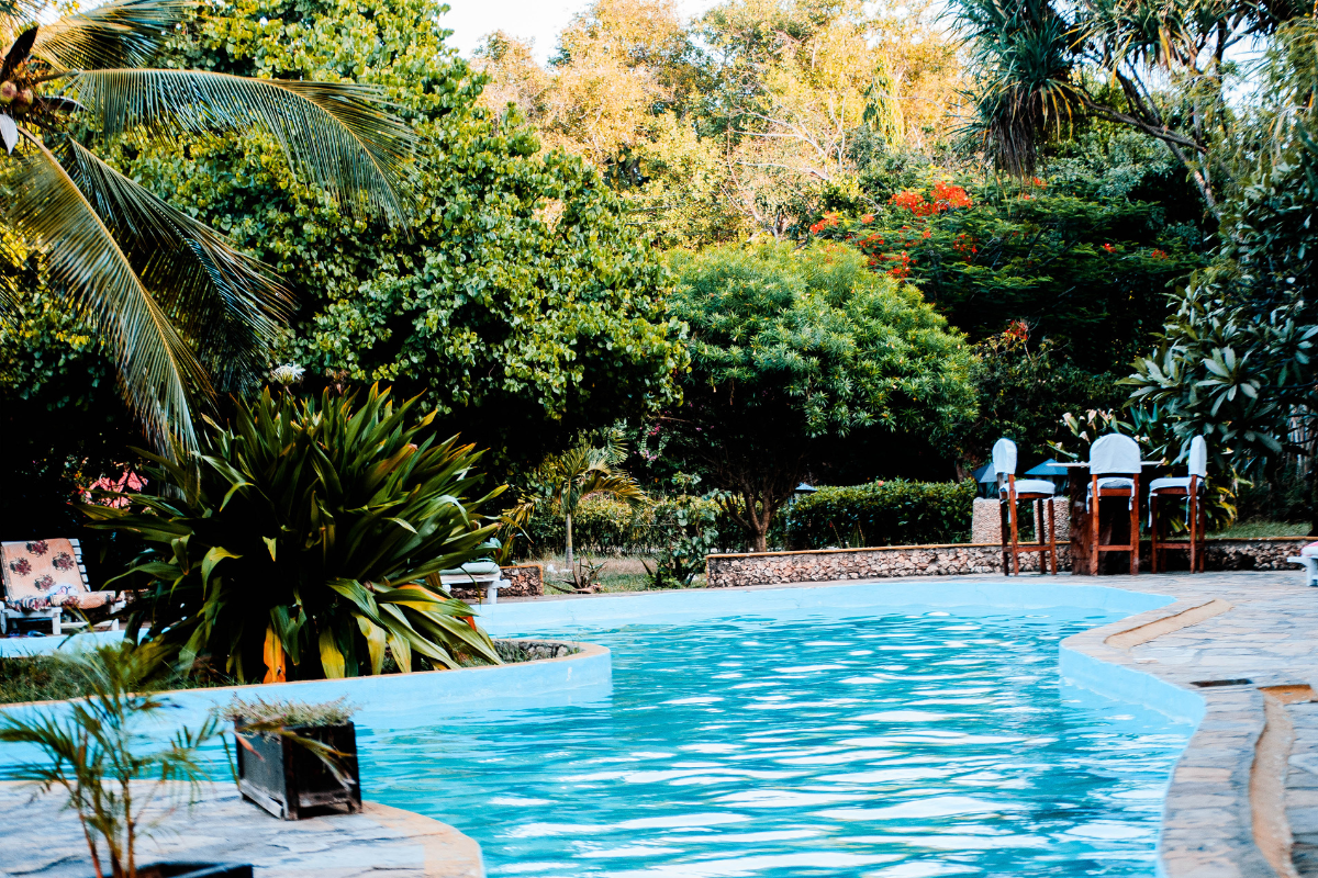 Before and after a Murrieta pool service visit